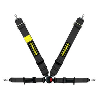 Schroth® - 4-Point Profi II ASM FE™ Harness Belt