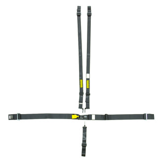 Schroth® - LatchLink 3" Lap 5-Point Sub Lap Pull-up Driver Side Adjuster Hans 3-2" Shoulder