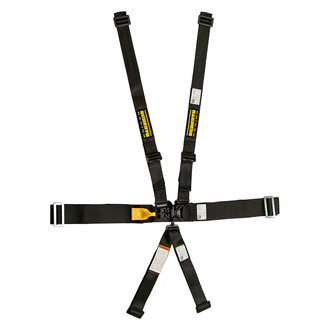 Schroth® - LatchLink 3" Lap 5-Point Sub Lap Pull-up Passenger Side Adjuster Hans 3-2" Shoulder