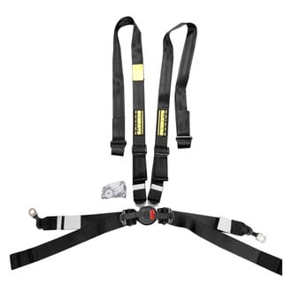 Schroth® - 4-Point GT3 / GT4 Harness Belts