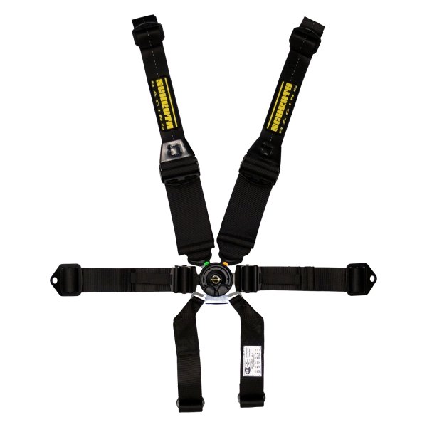 Schroth® - SFI 16.5™ Profi II™ Double Hans Pull Down Driver Side 6-Point Black Harness Set