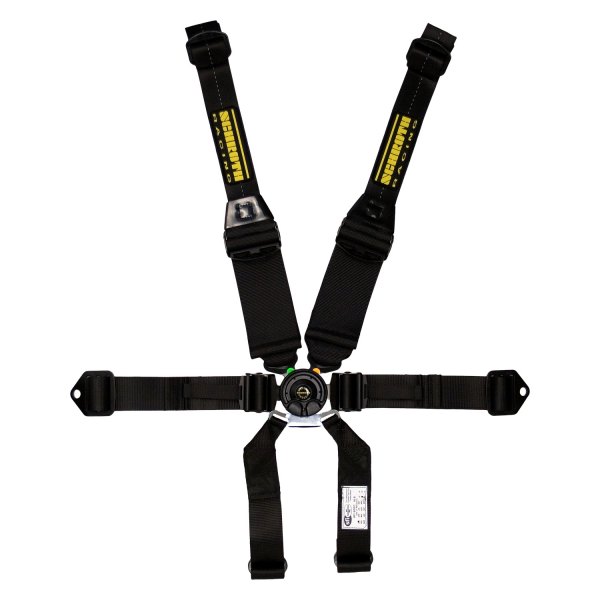 Schroth® - SFI 16.5™ Profi II™ Double Pull Down 6-Point Black Harness Set