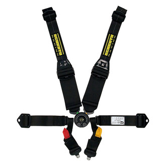 Schroth® - 6-Point Hybrid II No-Adjustable Lap Belt, Complete Assemblie