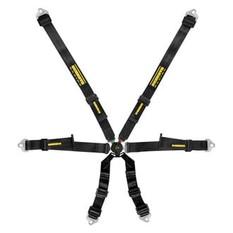Schroth® - 6-Point Profi™ Pull-Down Sewn Snap Lap Belt