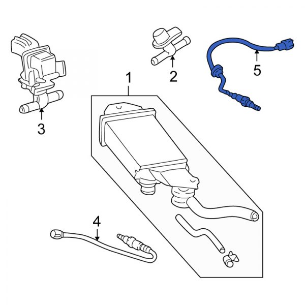 Oxygen Sensor