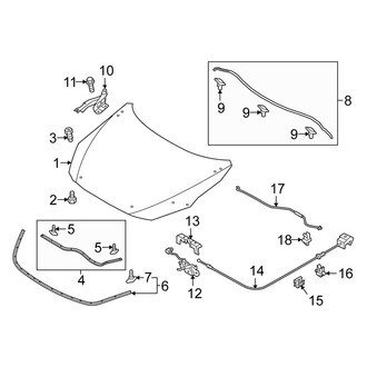 Scion OE - Hood & Components