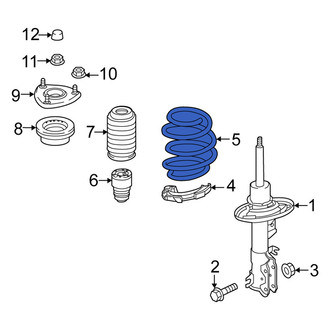 Scion OE - Rear Coil Spring