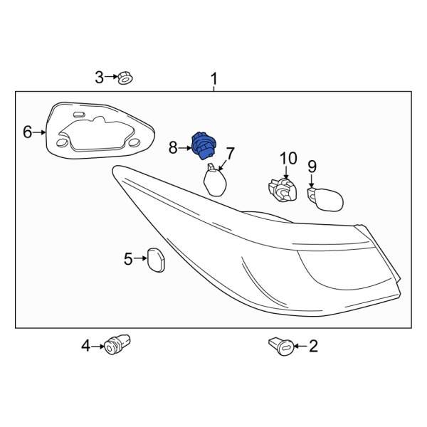 Tail Light Socket