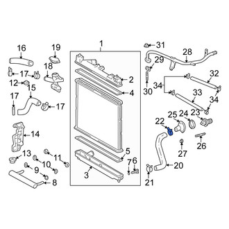 Scion OE - Rear Lower Radiator Hose Clamp
