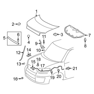 Scion OE - Hood & Components