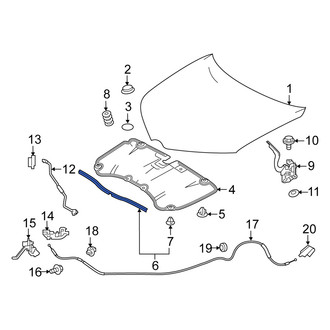 Scion OE - Front Hood Seal