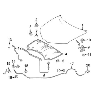 Scion OE - Hood & Components