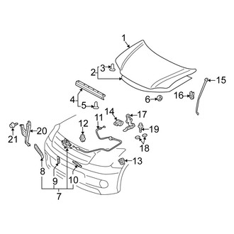 Scion OE - Hood & Components