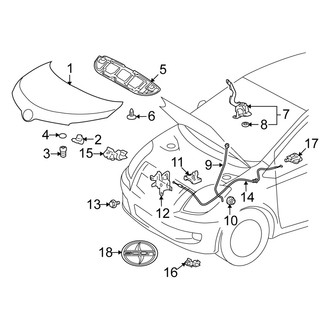 Scion OE - Hood & Components
