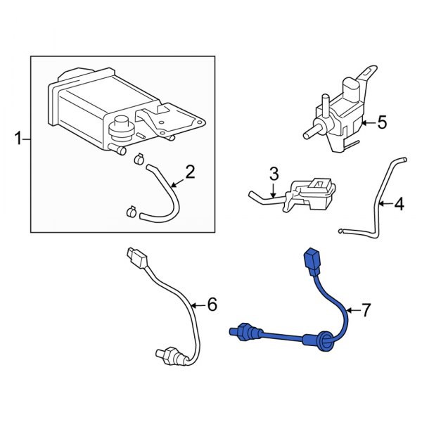 Oxygen Sensor