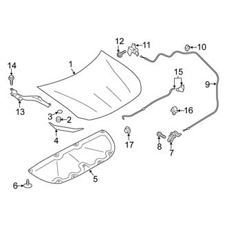 Scion OE - Hood & Components