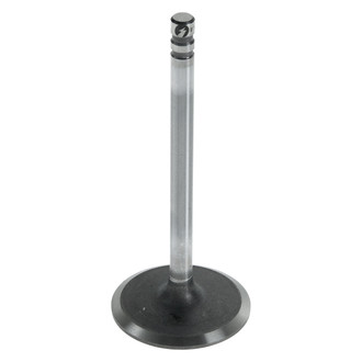 Sealed Power® - Intake Valve
