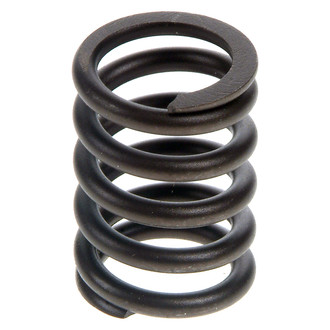 Sealed Power® - Valve Spring