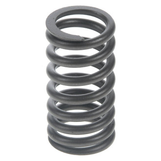 Sealed Power® - Valve Spring