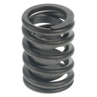 Sealed Power® - Valve Spring