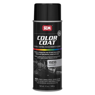 SEM® - Color Coat™ 16 fl. oz. Gloss Black Aerosol Interior Paint