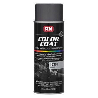 SEM® - Color Coat™ 16 fl. oz. Graphite Aerosol Interior Paint