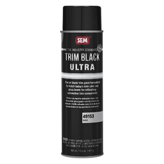 SEM® - 20 fl. oz. Gloss Black Aerosol Exterior Paint