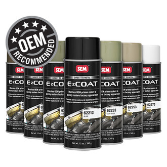 SEM® - Ez Coat™ 12 fl. oz. Light Green Aerosol Automotive Paint