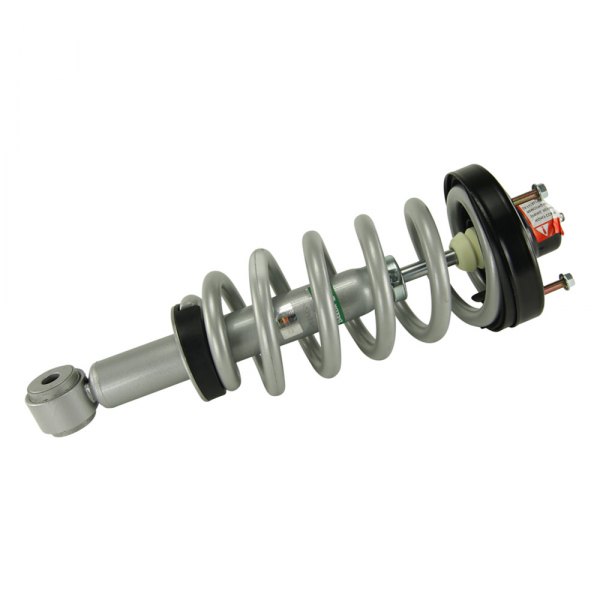 SenSen® - Speedy Strut™ Rear Driver or Passenger Side Complete Strut Assembly