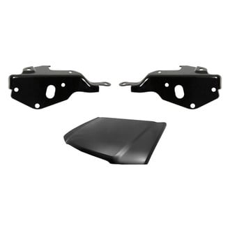 Sherman® - 3-Piece (Hood Panel, Driver and Passenger Side Hood Hinge) (Value Line)