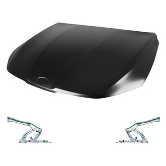 Sherman® - 3-Piece (Hood Panel, Driver and Passenger Side Hood Hinge) (Value Line)