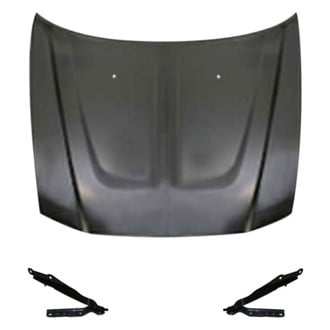 Sherman® - 3-Piece (Hood Panel, Driver and Passenger Side Hood Hinge) (Value Line)