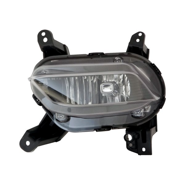 Sherman® - Driver Side Replacement Fog Light, Hyundai Santa Fe