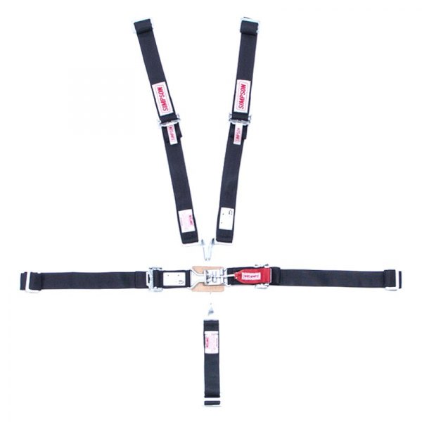 Simpson® - Black 5-Point Wrap-Around Junior Harness System