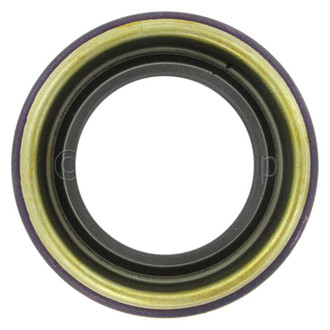 SKF® - Front Differential Pinion Seal