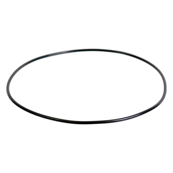 SKF® - Front Wheel Bearing O-Ring