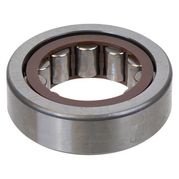 SKF Differential Pinion Bearing