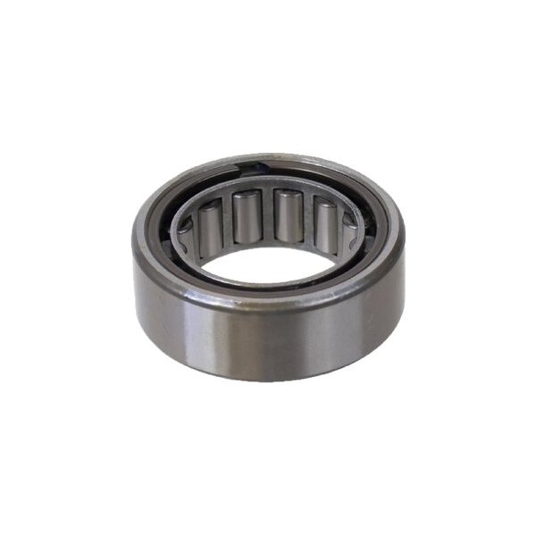 SKF® - Differential Pinion Pilot Bearing