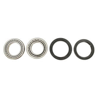 SKF® - Rear Driver or Passenger Side Wheel Bearing Kit