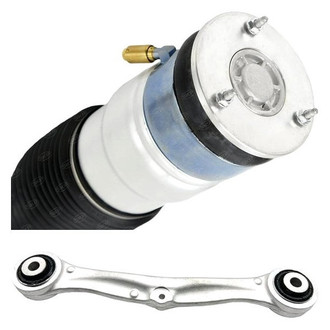 SKP® - Rear Driver Side Strut Assembly and Control Arm Kit