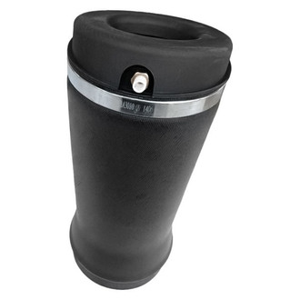 SKP® - Rear Driver or Passenger Side Air Suspension Spring