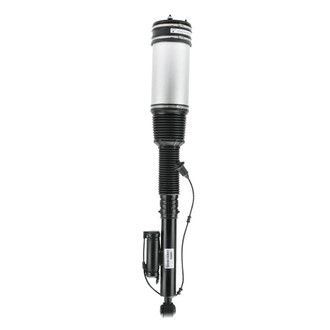 SKP® - Rear Driver or Passenger Side Air Strut