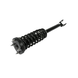 SKP® - Front Driver or Passenger Side Air Strut
