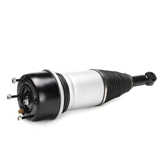 SKP® - Rear Driver or Passenger Side Air Strut