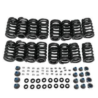 SKP® - Valve Spring