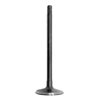 SKP® - Intake Valve
