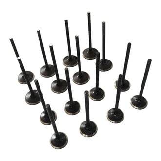 SKP® - Engine Valve