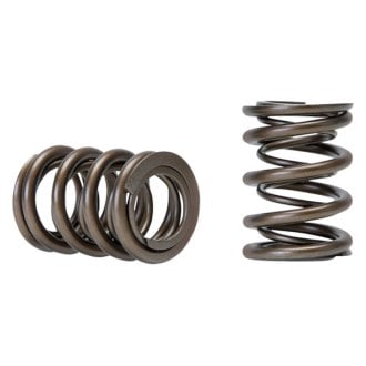 Skunk2® - Pro Series™ Valve Springs