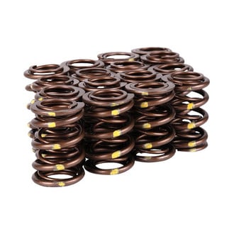 Skunk2® - Pro Series™ XP Valve Springs