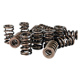 Skunk2® - Pro Series™ Valve Springs